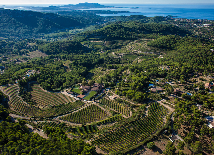 300 Meter über dem Meeresspiegel, 3000 Stunden Sonnenschein: Château Pibarnon im Bandol mit seinen spektakulär angelegten Weingärten.
